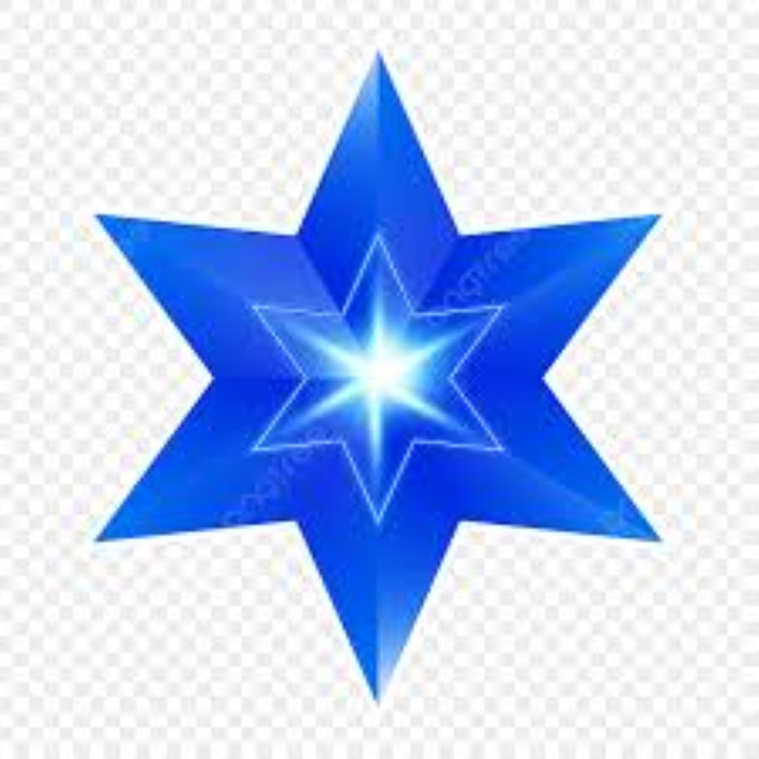 CHRISTMAS STAR DARK BLUE 3620102